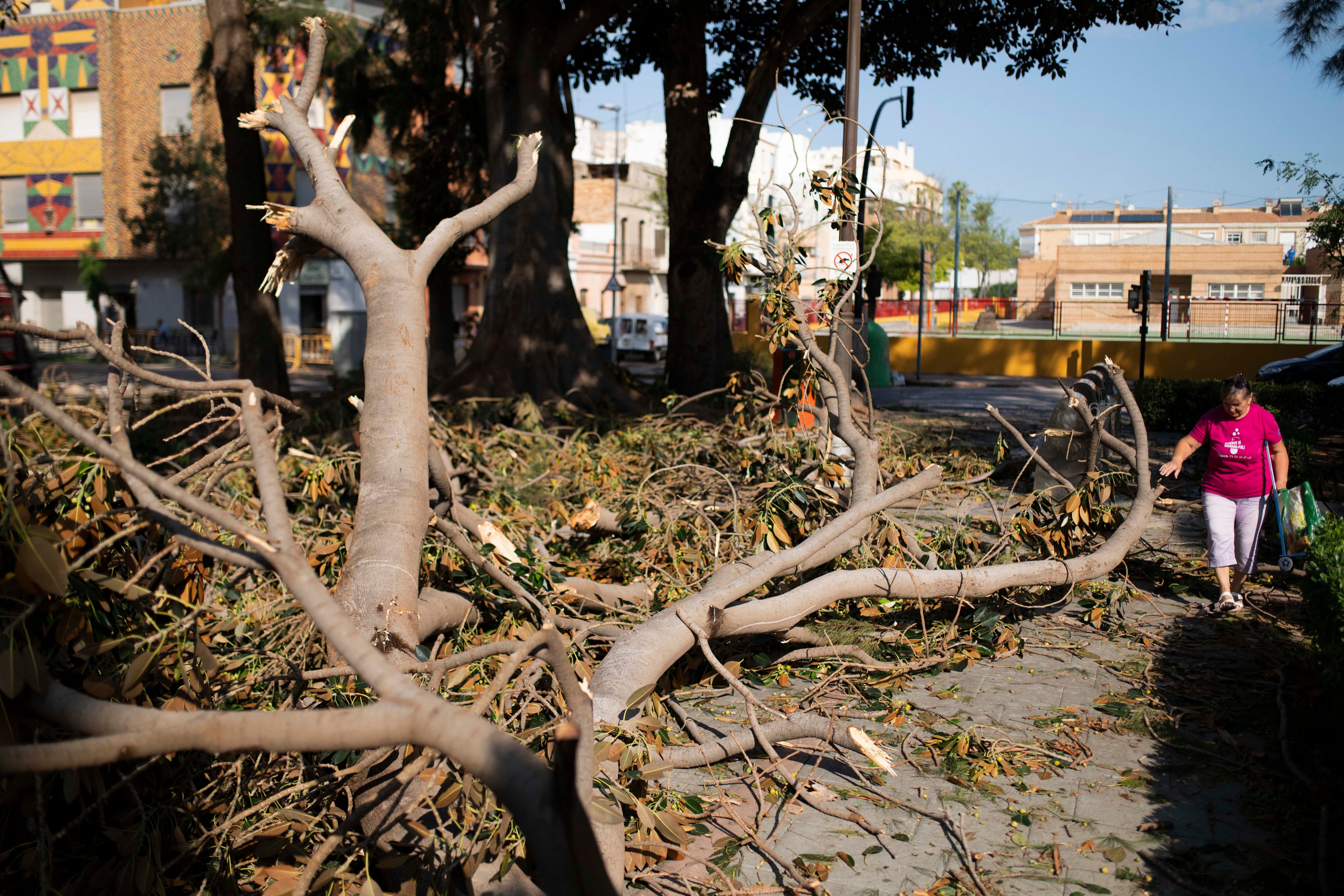 Imagen del Jardín del Beso de Burriana después de sufrir el reventón térmico que propició la caída de más de 200 árboles en la localidad. EFE/ Andreu Esteban