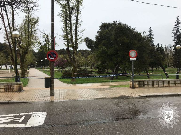 Cerrado el Parque Tío Jorge por la caída de árboles. Además, se han desalojado urbanizaciones próximas al río Gállego 