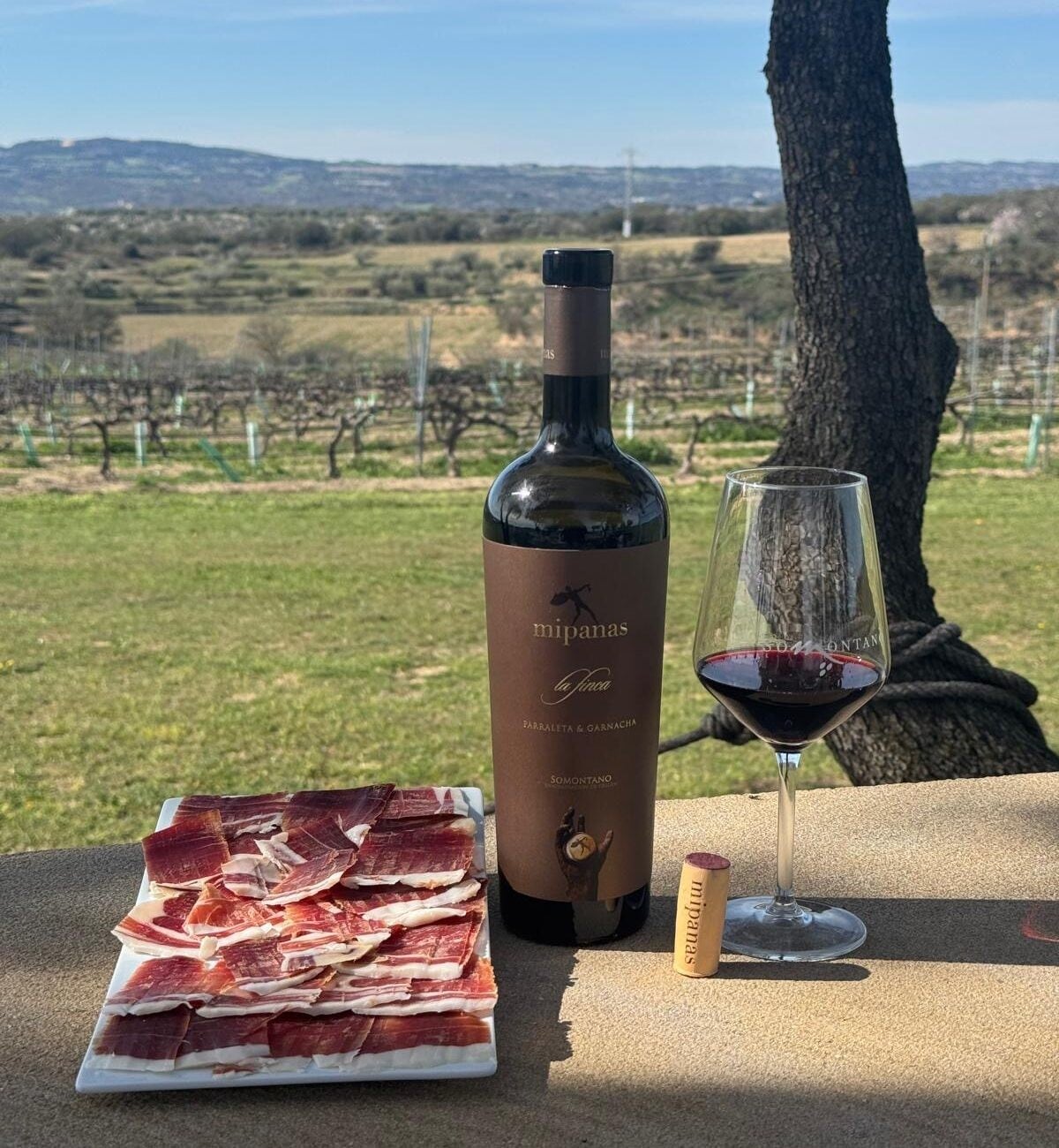 La Finca de Julián Mairal celebra la fiesta de primavera