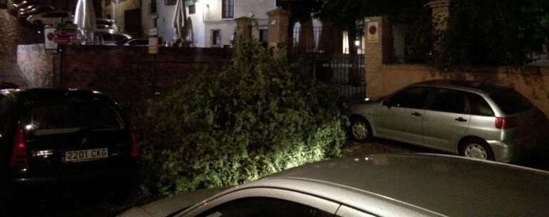 Las ramas de un árbol que cayeron por la tormenta de Toledo este martes en la Subida de la Granja