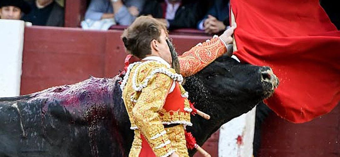 Javier Cortés sufría la cornada en su ojo derecho, que ha tenido que ser reconstruido