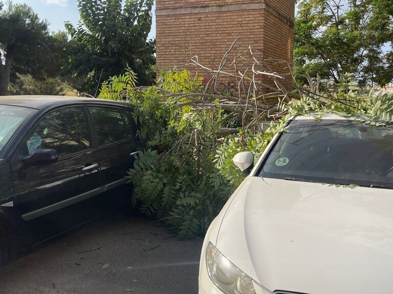 Caída de ramas en Cartagena en una foto de archivo de agosto de 2023