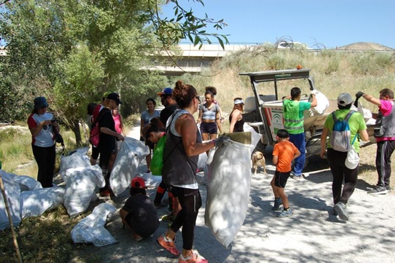 Limpieza de basura en la ribera del río Genil