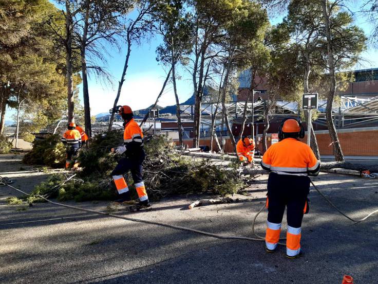 Imagen de archivo de una brigada forestal contratada en ediciones anteriores del programa Avalem Experiencia en Alcoy.