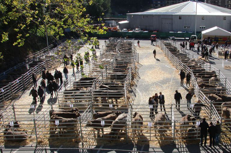 La Fira del Bestiar ha assolit una xifra històrica de participació.