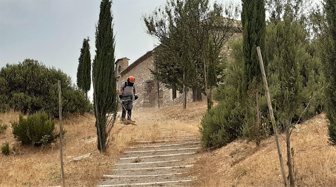 Imagen de una actuación enmarcada en el Plan Forestal