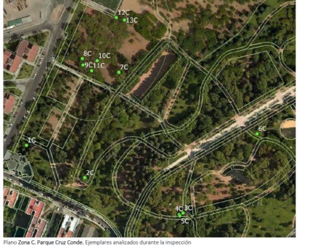 Plano de la zona analizada en el Parque Cruz Conde