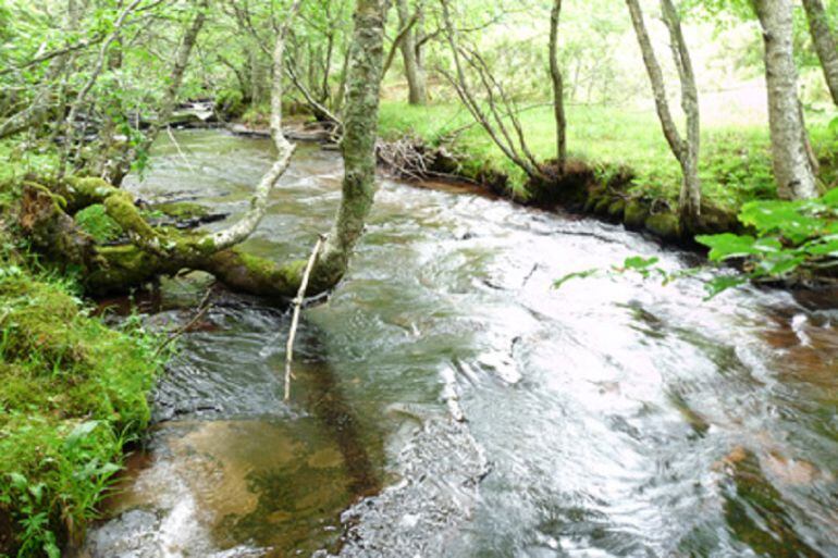 Imagen del río Camesa