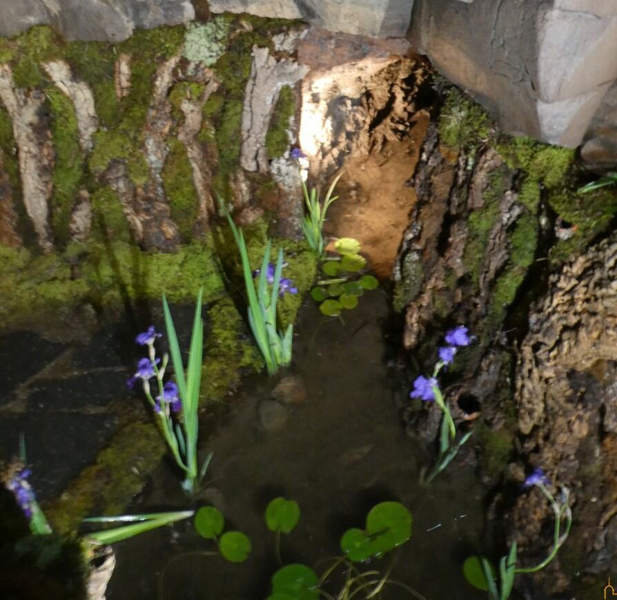 Cruces de Piedrabuena