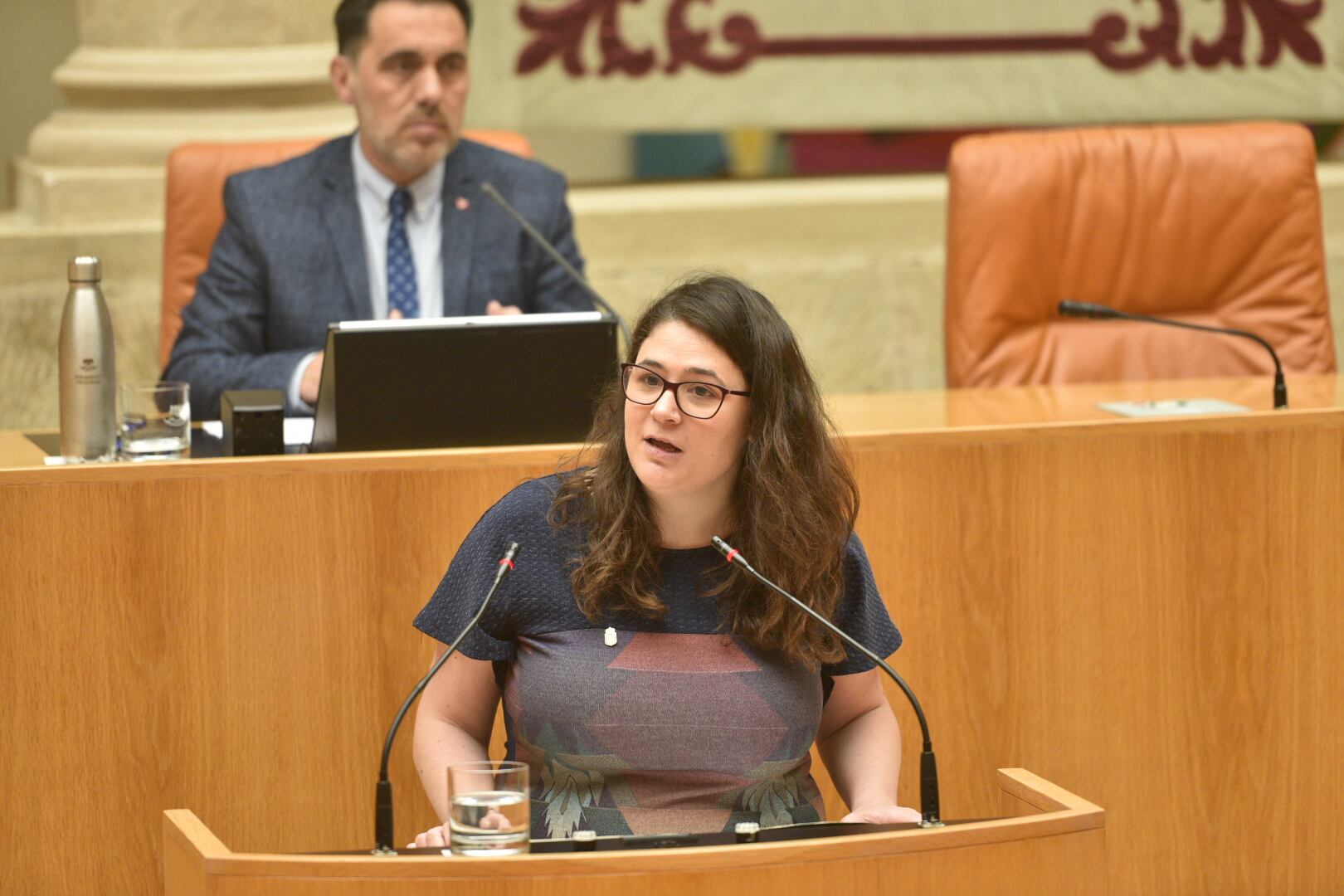 La consejera y diputada, Raquel Romero, en una intervención en el Parlamento.