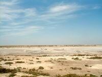 PP Monegros tacha de “irreal” al presupuesto de la institución para este 2024