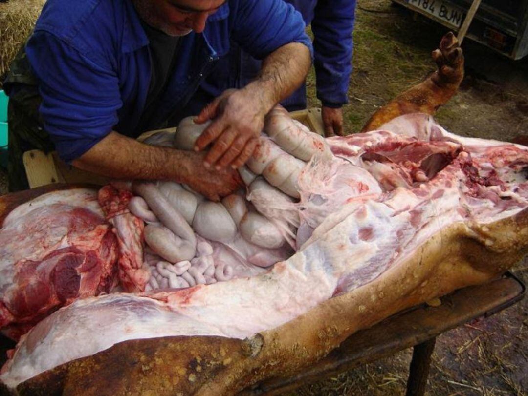 Matanza de cerdo