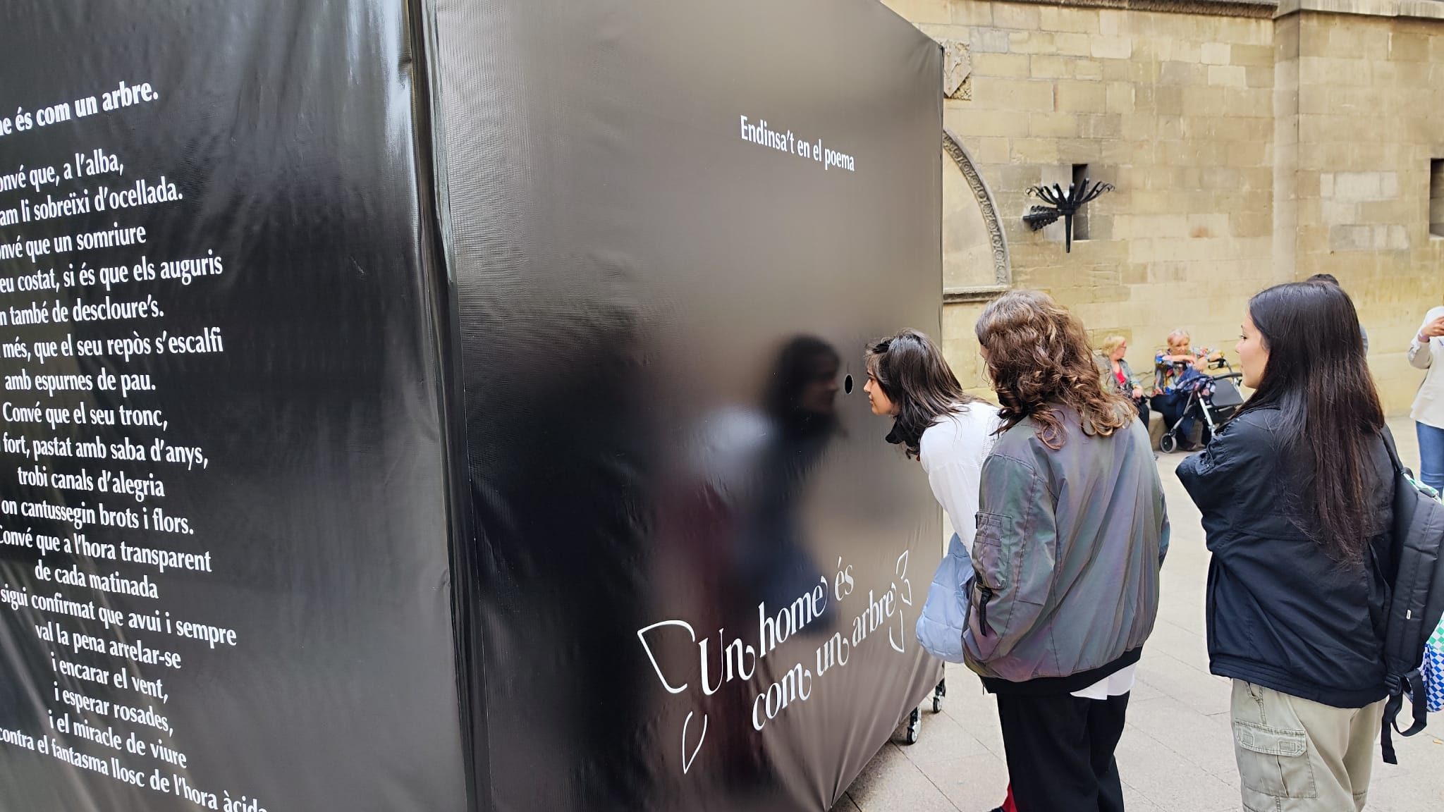 La instal·lació inspirada en un poema d'en Josep Vallverdú, obra d'alumnes de l'Escola Municipal d'Art Leandre Cristòfol de Lleida.