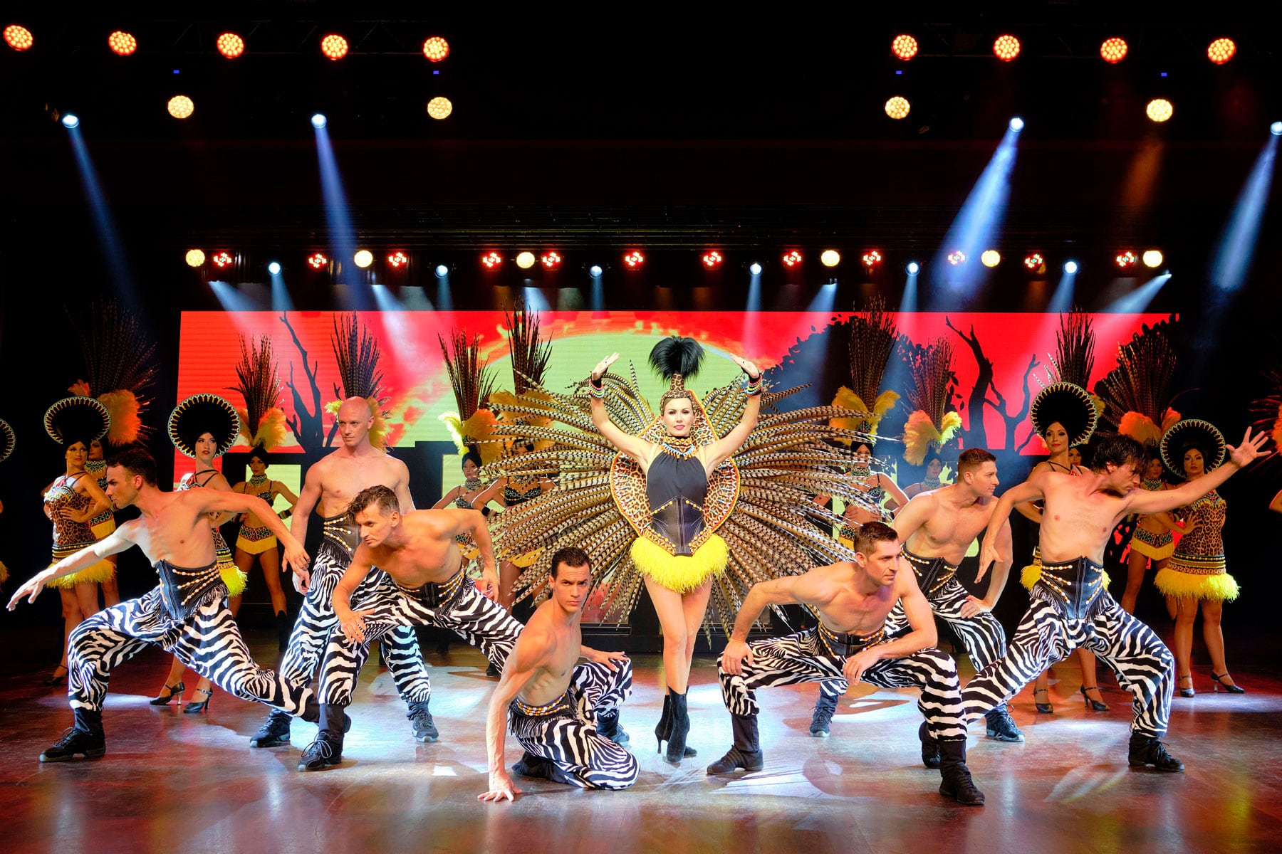 Imagen del espectáculo 'Terra'