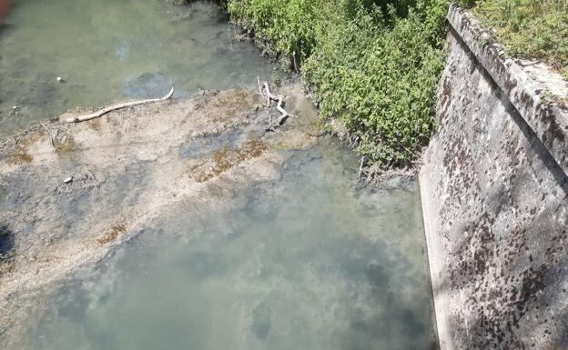 Vertido en el río Arakil detectado el 15 de junio a la altura de Albeniz