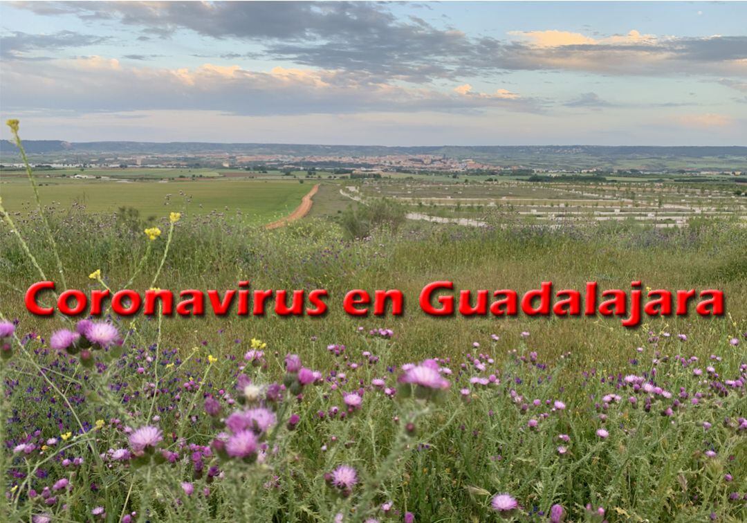 Panorámica de la Campiña guadalajareña