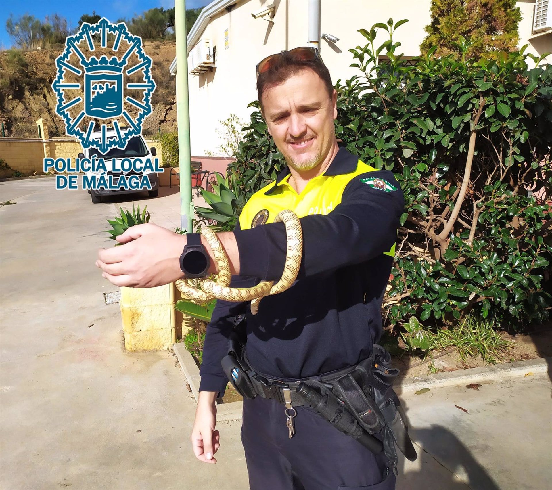 Agentes del Grupo de Protección de la Naturaleza (Grupona) de la Policía Local de Málaga han capturado y recuperado una serpiente Rey