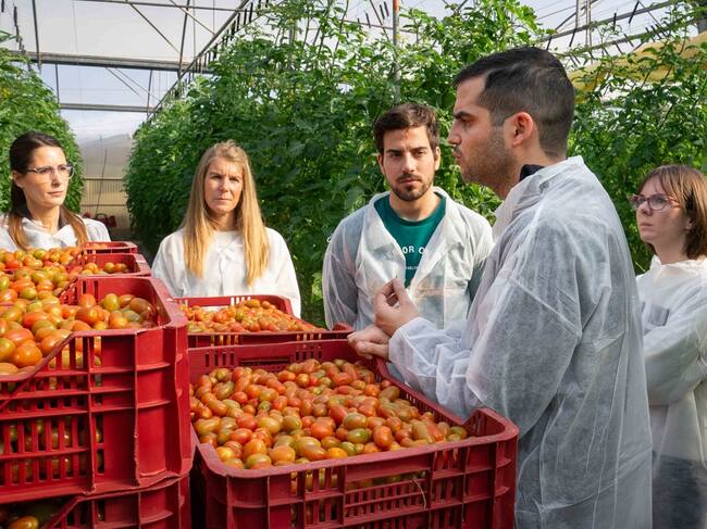 Proyecto "Tomagroup"