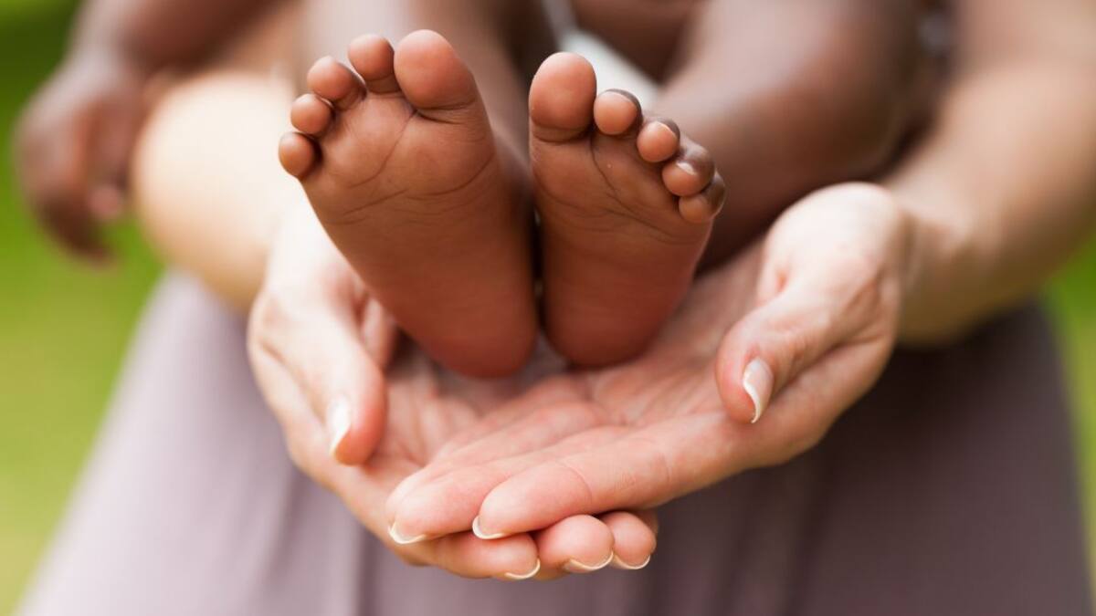 "No interesa publicar el número de adopciones fallidas"