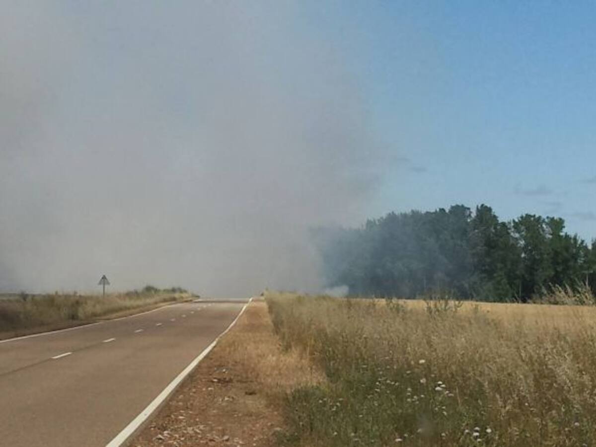 Un incendio en Calzadilla de la Cueza calcina algo más de 10 hectáreas de superficie agrícola y arbolada