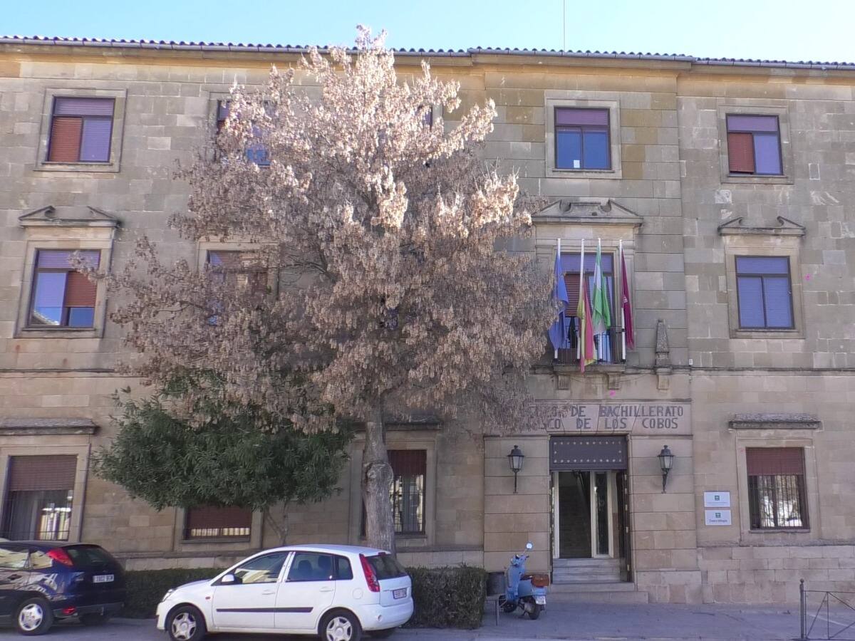 'Bombines y tiza', concurso de ilustración sobre Sabina