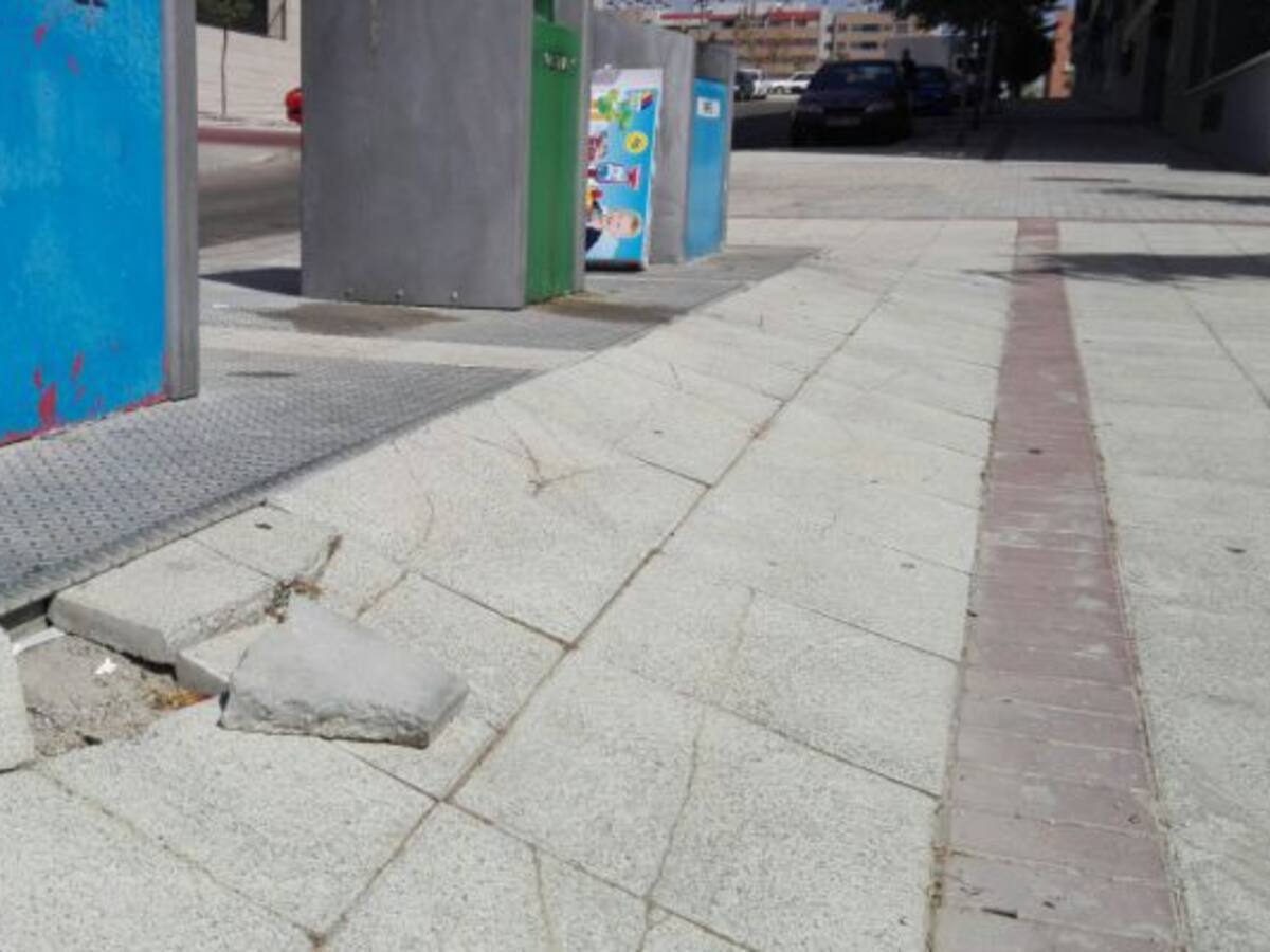Hongos en los árboles, aceras levantadas y riesgo de caídas