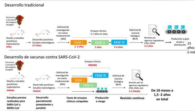 Esquema del funcionamiento de las vacunas de ARNm encapsulado en nanopartículas lipídicas. Adaptado de Altounian (Science, 2020) por Nuria Campillo. V. Altounian (Science, 2020).