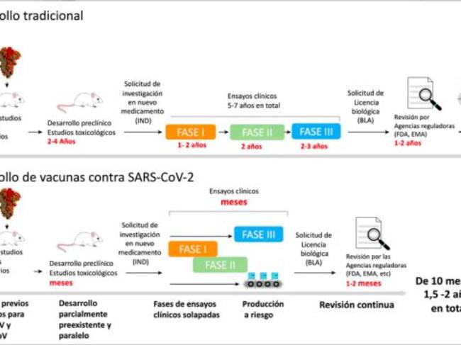 Esquema del funcionamiento de las vacunas de ARNm encapsulado en nanopartículas lipídicas. Adaptado de Altounian (Science, 2020) por Nuria Campillo. V. Altounian (Science, 2020).
