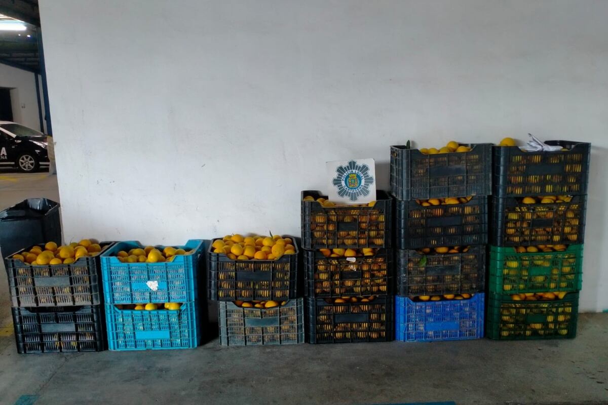 La Policía Local incauta 480 kilos de naranjas