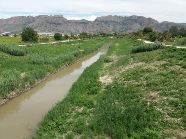 El río Segura antes de su entrada a Orihuela en la provincia de Murcia
