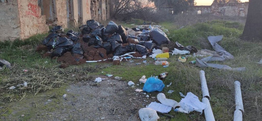 Basura acumulada en el entorno natural de Linares.