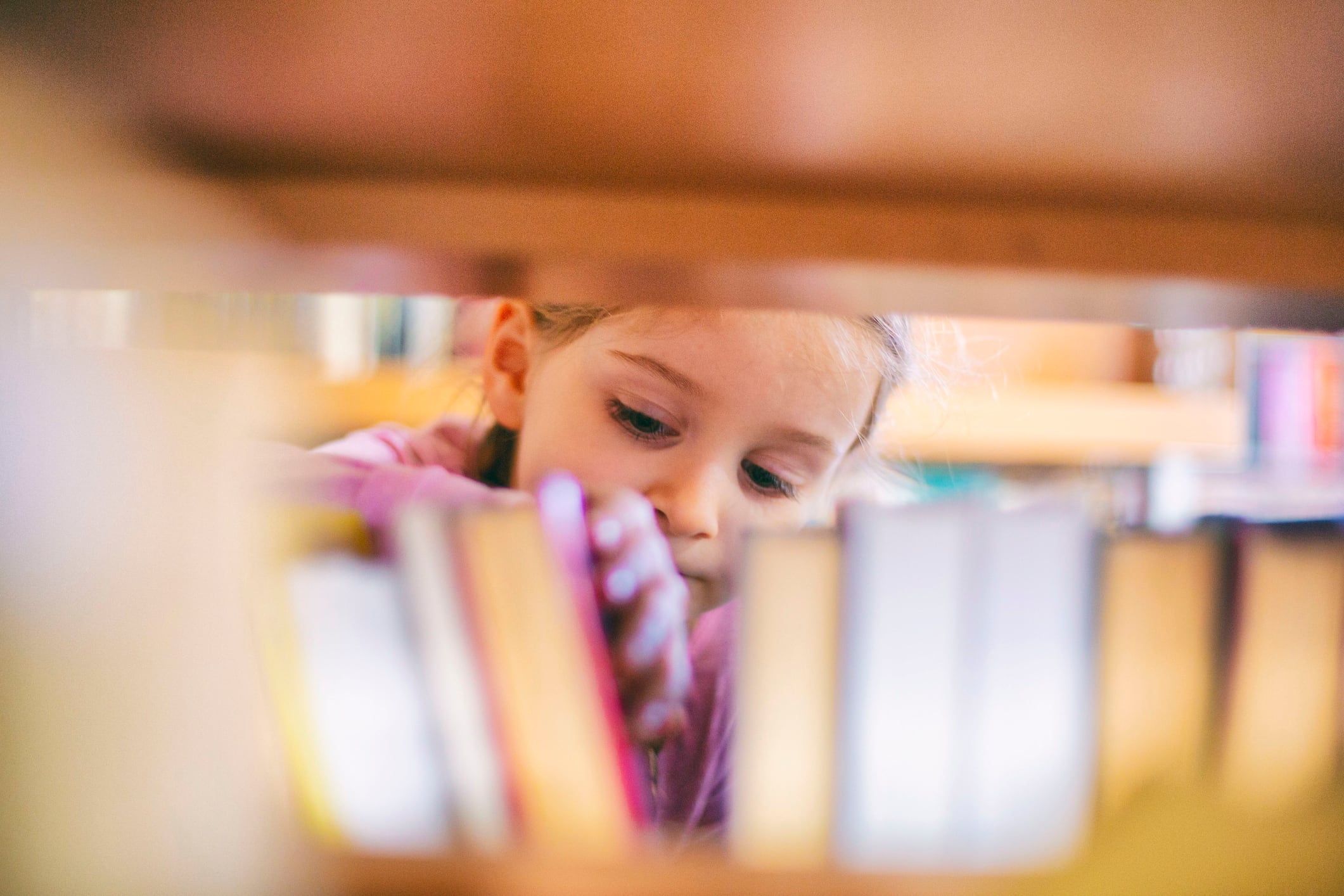 Bibliotecarios por un día