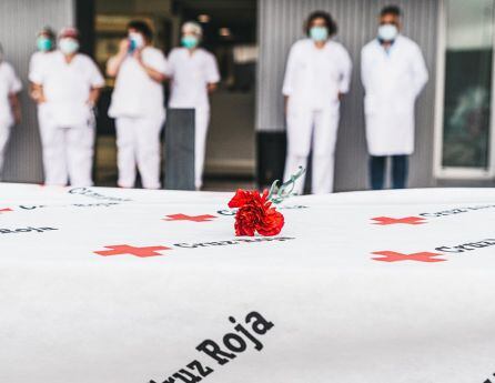 Claveles para los sanitarios del hospital de Gandia