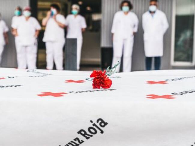 Claveles para los sanitarios del hospital de Gandia