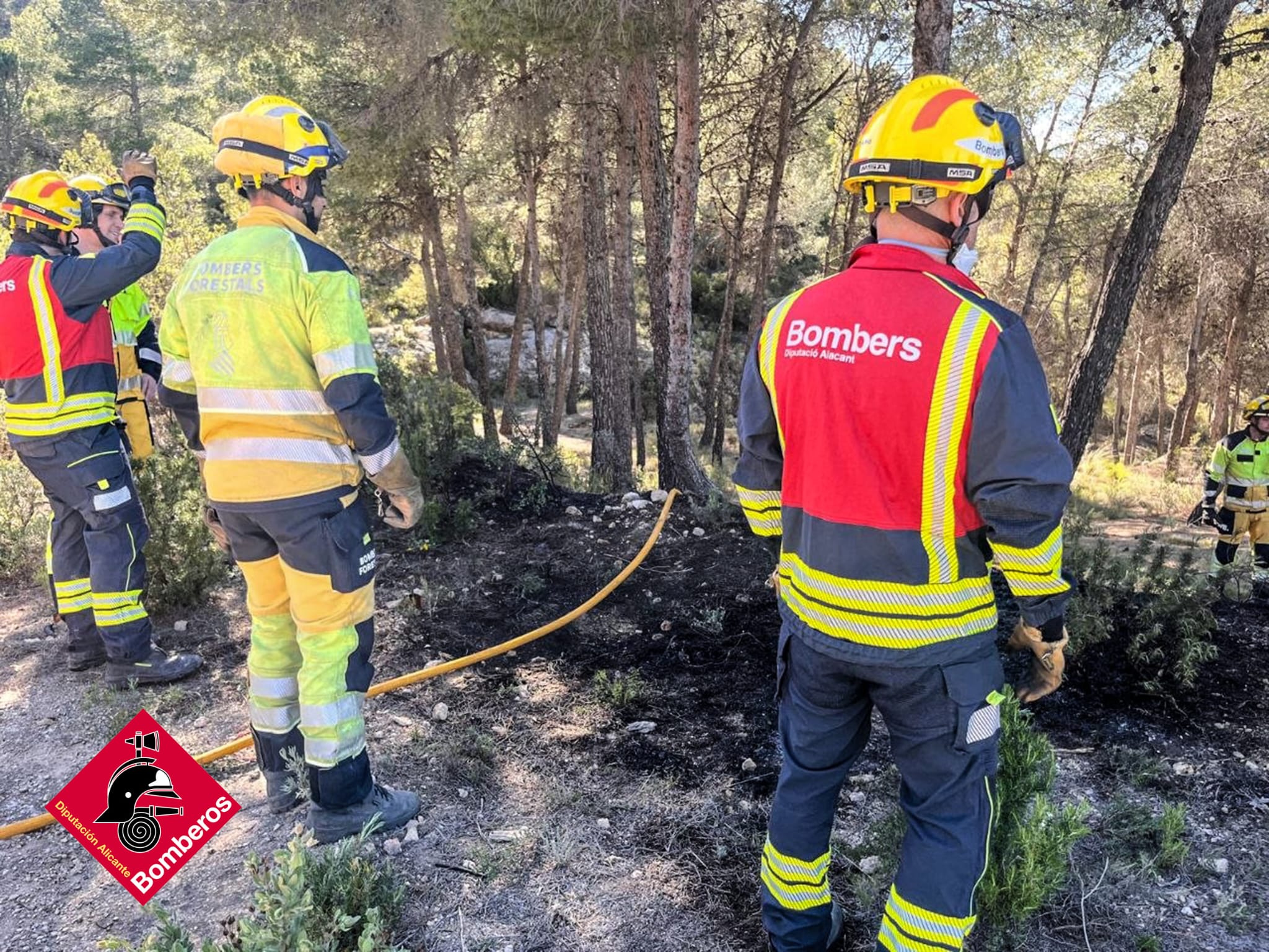Intervención de los bomberos este jueves en Biar