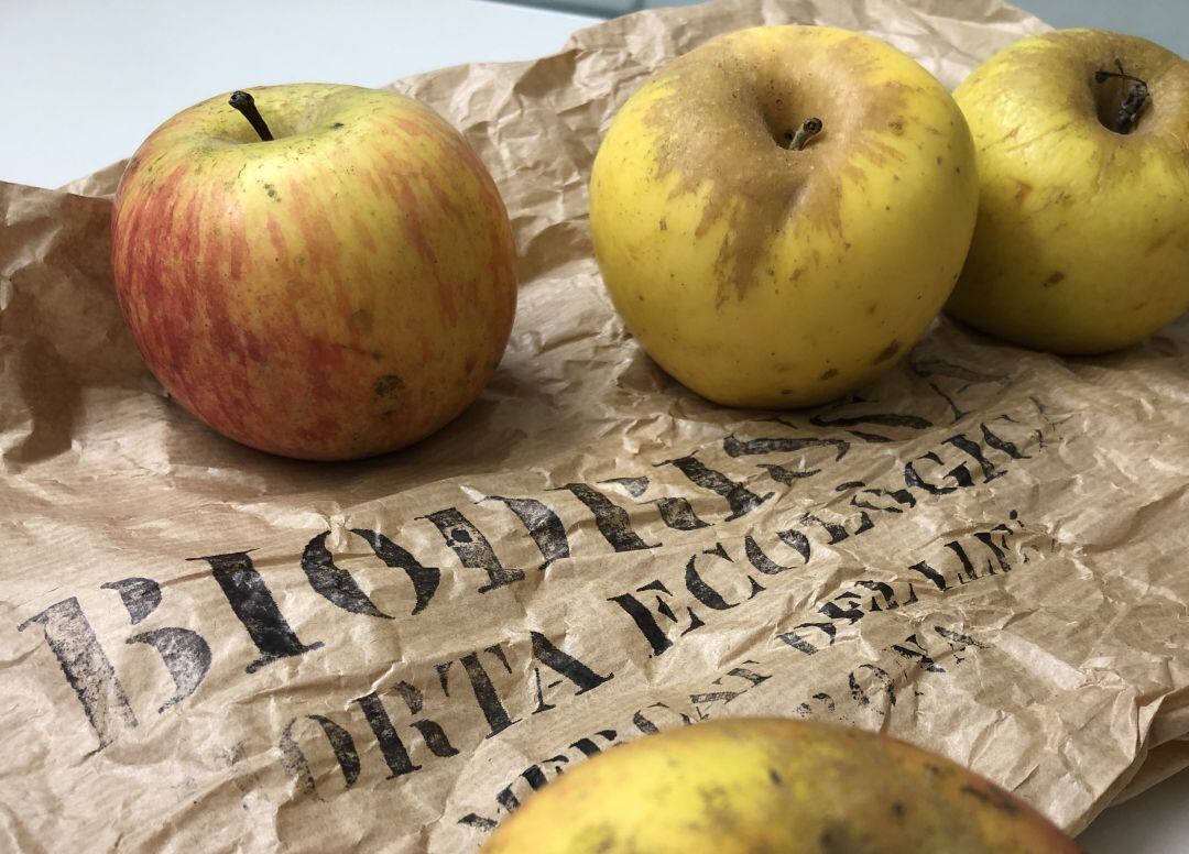 Pomes de la Fundació Drissa