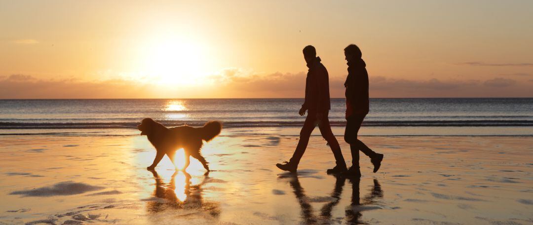 Dos personas pasean a su perro en una playa