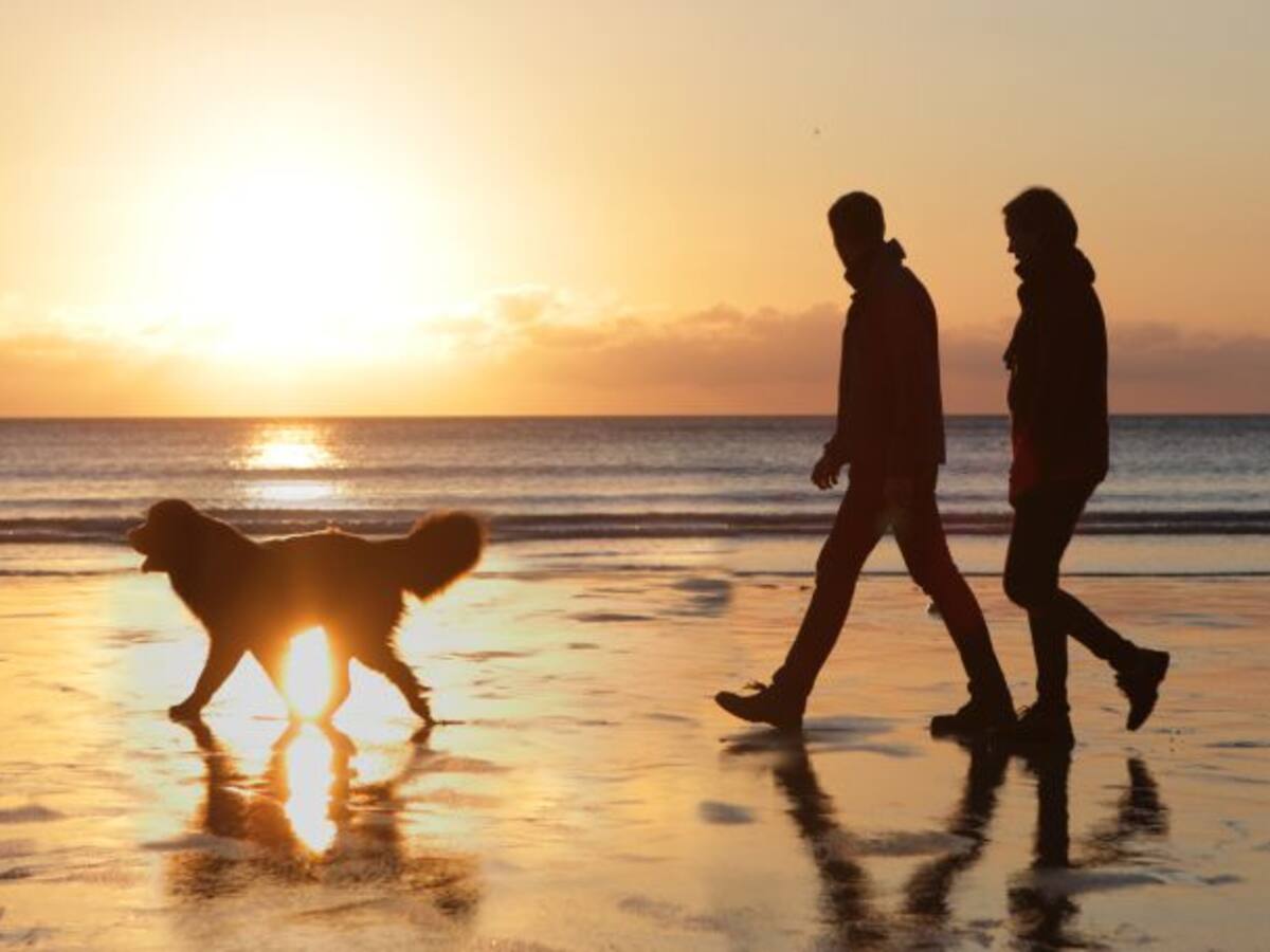 Vecinos de A Coruña piden una playa canina en la ciudad