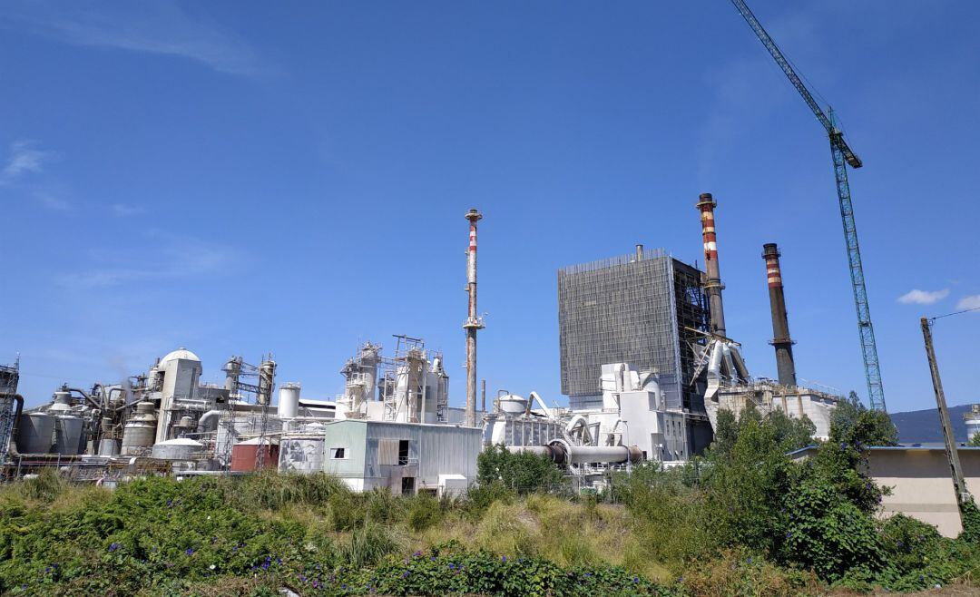 Archivo - Imagen de la fábrica de Ence Celulosa en Pontevedra.