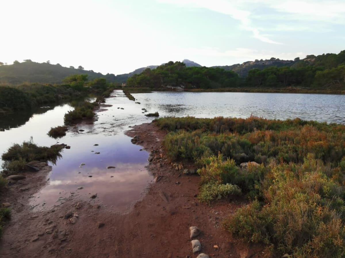 Els ecologistes demanen baratar el tram del Camí de Cavalls a Addaia