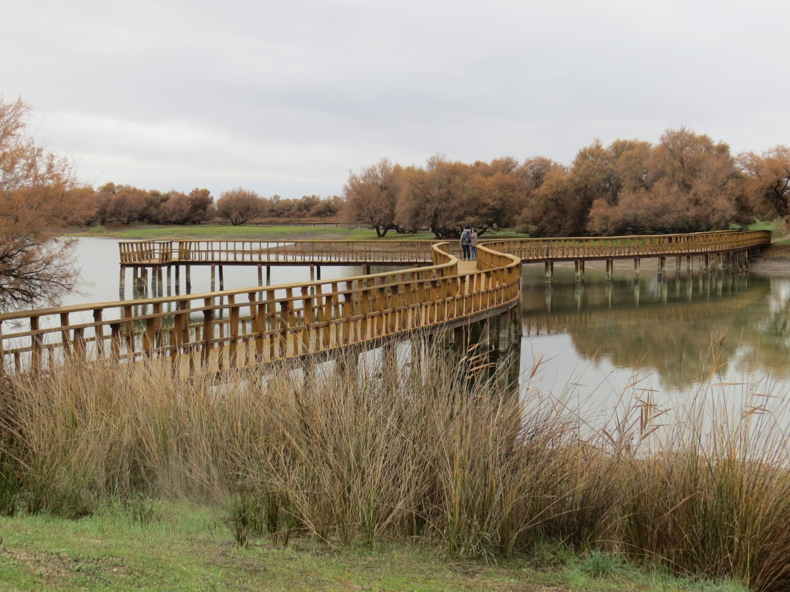 Parque Nacional de las Tablas de Daimiel