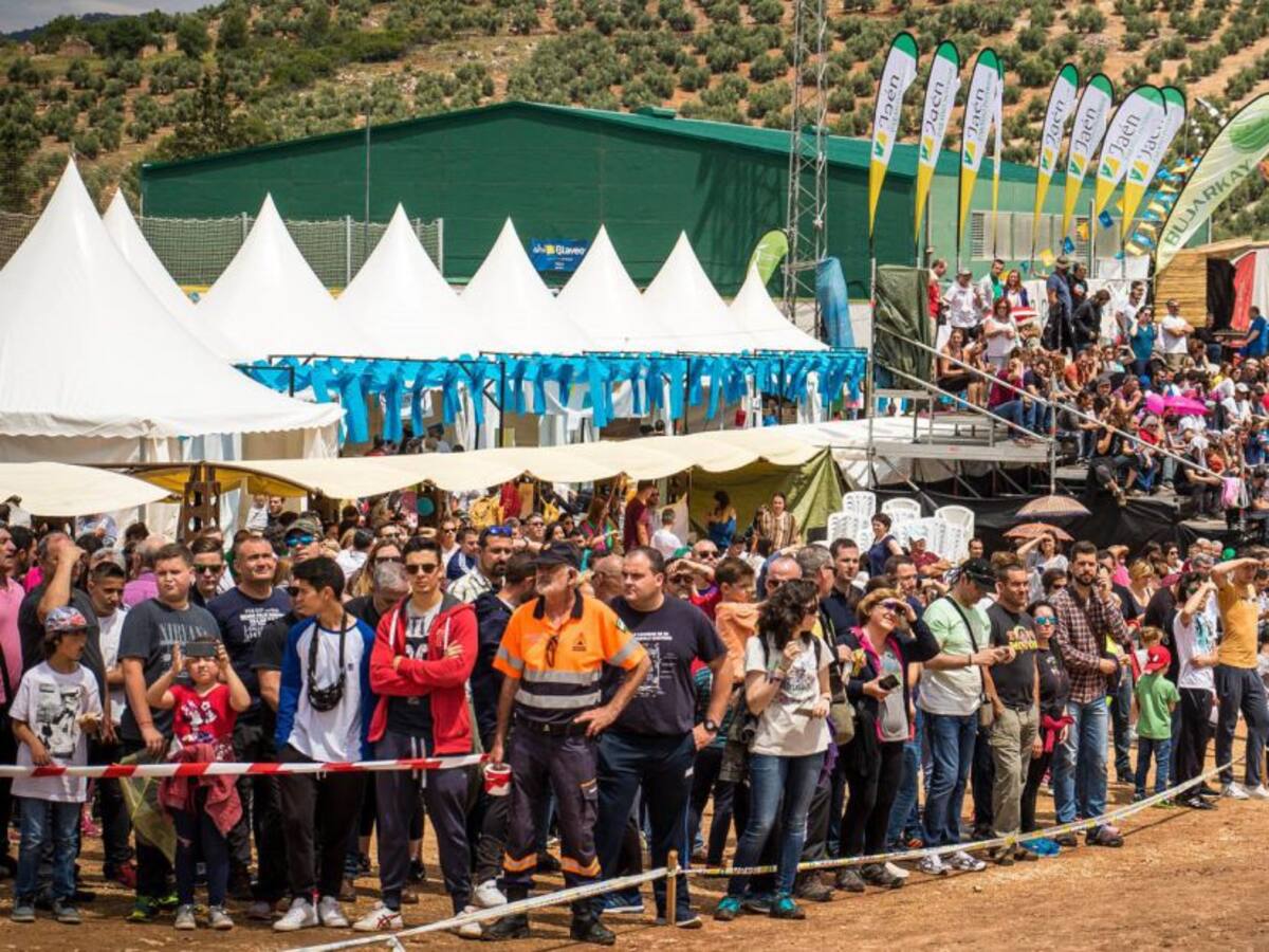 El COVID-19 manda al FIA a septiembre