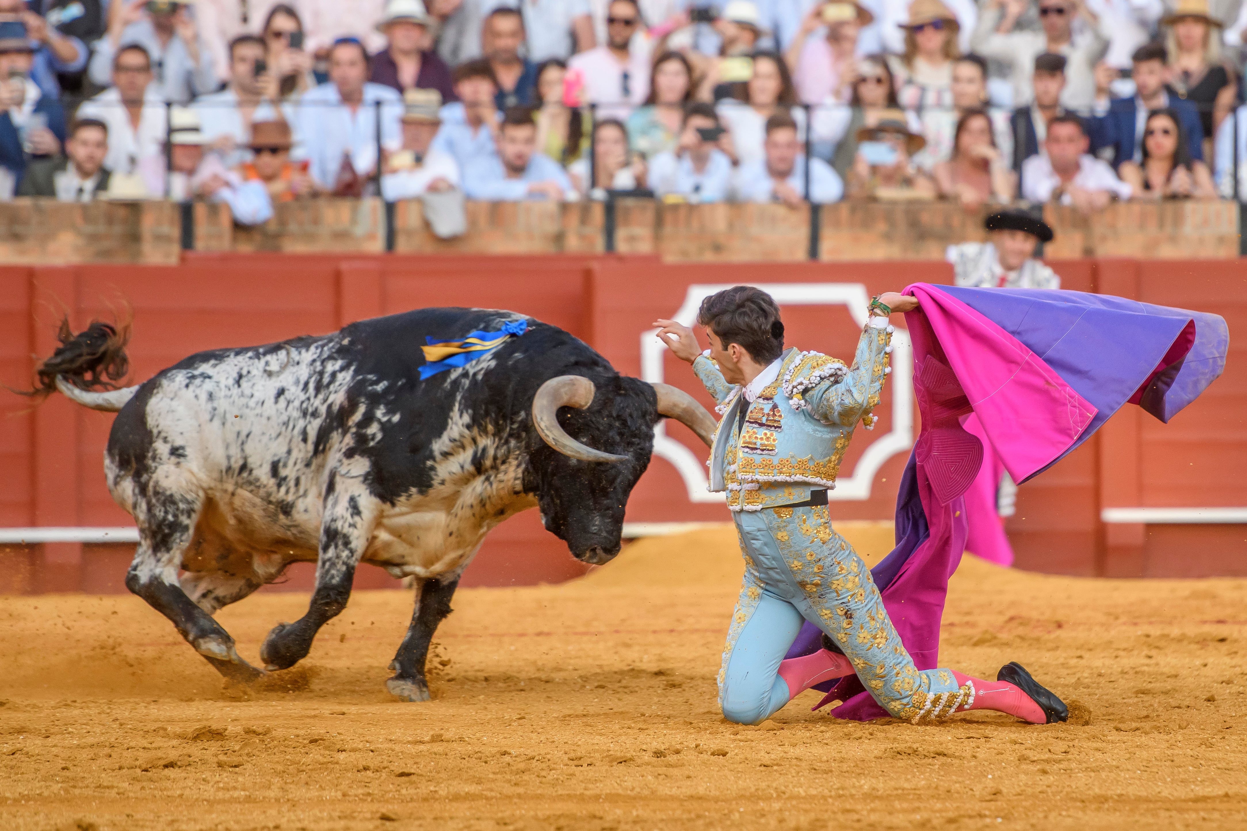 SEVILLA. 07/05/2022. - El diestro Manuel Perera, que toma hoy la Alternativa, con su segundo toro de la tarde en la Plaza de La Maestranza de Sevilla. EFE/ Raúl Caro.
