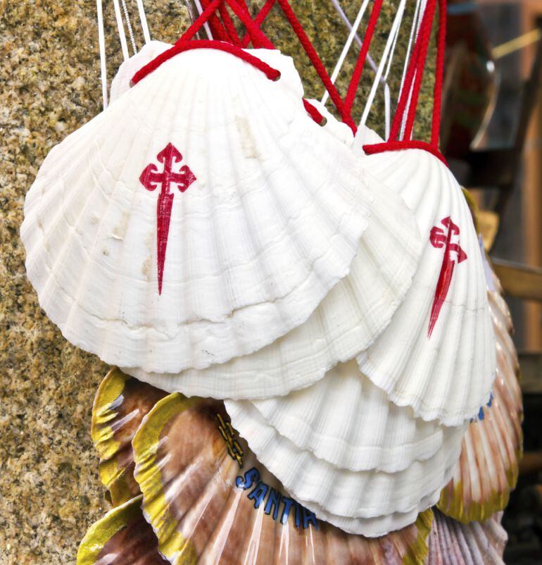 Conchas de peregrino