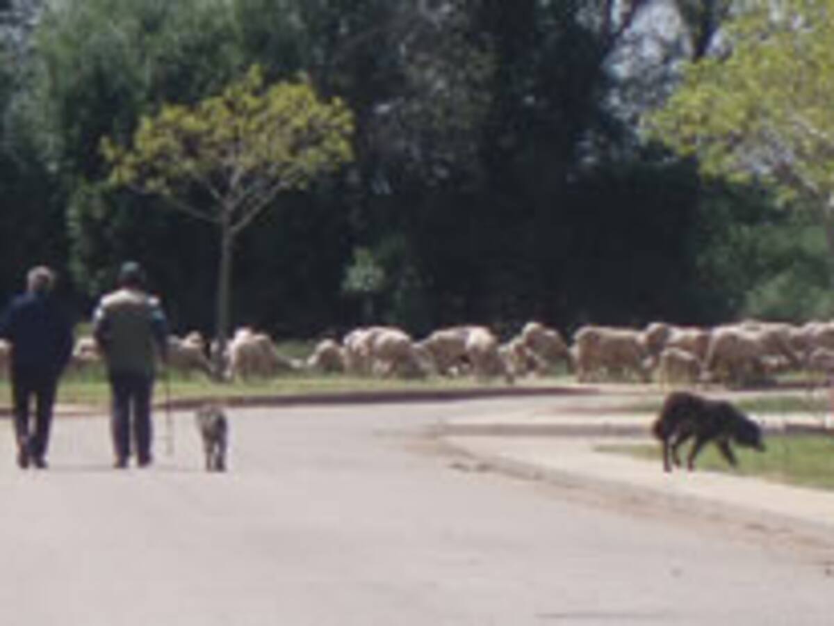 Donde nadie quiere ser alcalde