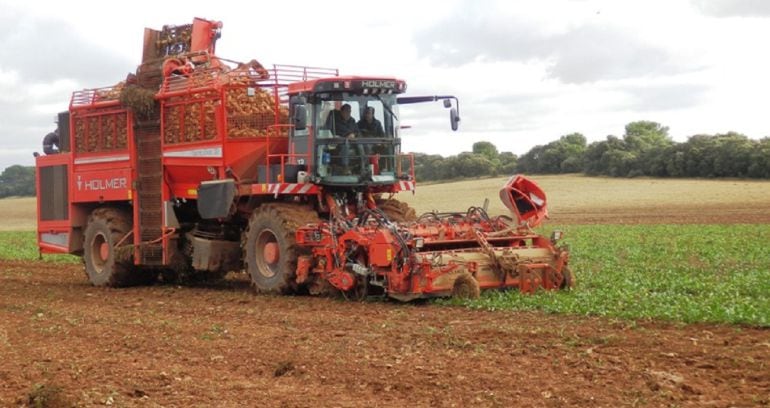 El juicio está fijado para el próximo 23 de mayo en la Audiencia Provincial de Palencia