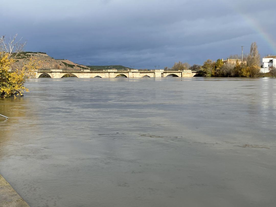 El Ebro a su paso por Tudela este viernes 10 de diciembre