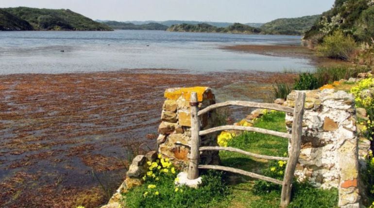 El parque natural se recupera en cuanto a su fauna marina.