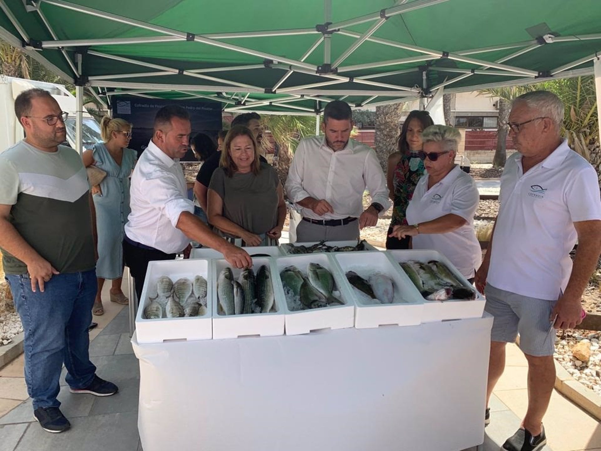 Campaña para potenciar el consumo de pescado del litoral