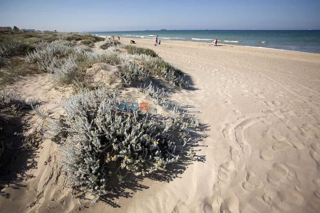 Playa de l&#039;Arbre del Gos antes de las obras